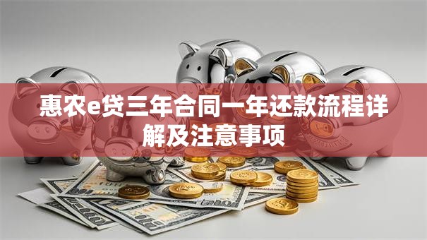 惠农e贷三年合同一年还款流程详解及注意事项