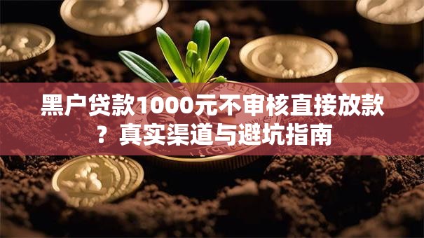 黑户贷款1000元不审核直接放款？真实渠道与避坑指南