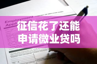 征信花了还能申请微业贷吗？小微企业主必看贷款攻略