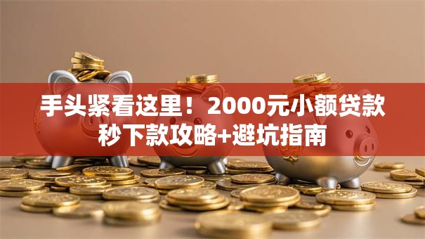 手头紧看这里！2000元小额贷款秒下款攻略+避坑指南