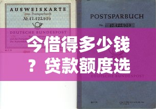 今借得多少钱？贷款额度选择技巧与避坑指南