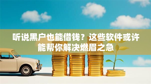 听说黑户也能借钱？这些软件或许能帮你解决燃眉之急