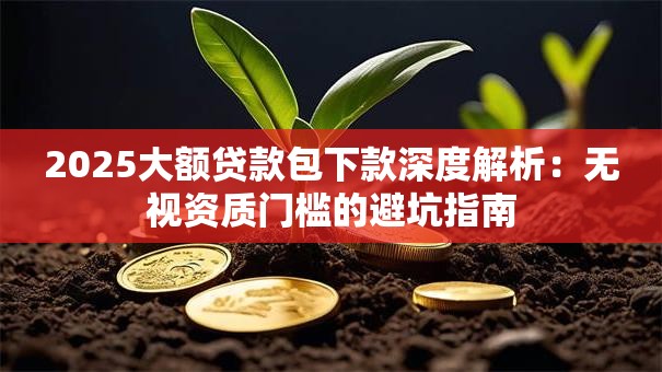 2025大额贷款包下款深度解析：无视资质门槛的避坑指南