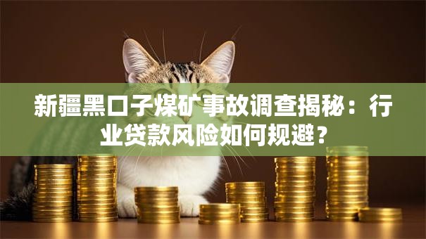 新疆黑口子煤矿事故调查揭秘：行业贷款风险如何规避？
