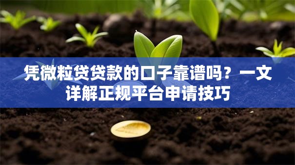 凭微粒贷贷款的口子靠谱吗？一文详解正规平台申请技巧
