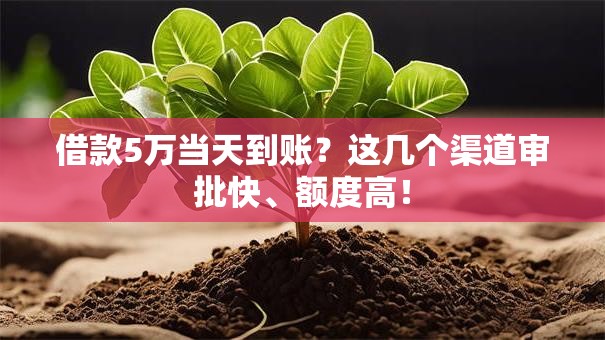 借款5万当天到账？这几个渠道审批快、额度高！