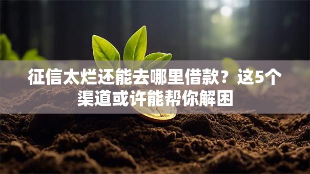 征信太烂还能去哪里借款？这5个渠道或许能帮你解困