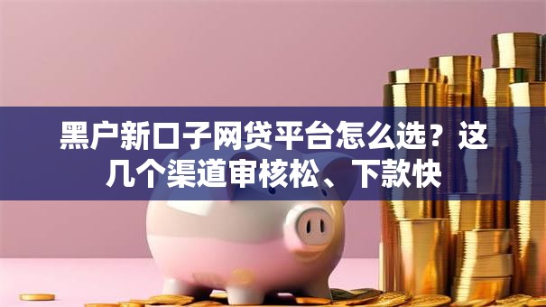 黑户新口子网贷平台怎么选？这几个渠道审核松、下款快