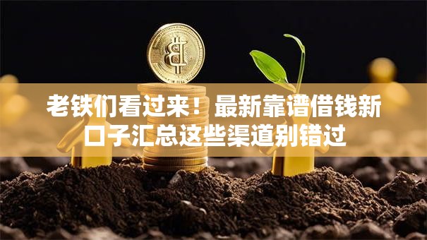 老铁们看过来！最新靠谱借钱新口子汇总这些渠道别错过