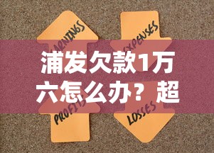 浦发欠款1万六怎么办？超详细解决攻略分享
