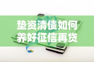 垫资清债如何养好征信再贷款？实用技巧与避坑指南全解析