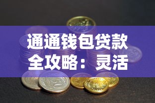 通通钱包贷款全攻略：灵活方案+实用技巧助你资金周转