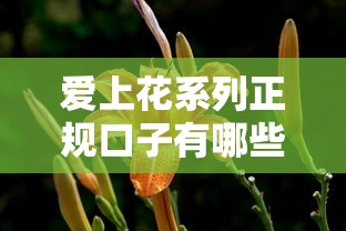 爱上花系列正规口子有哪些？超全盘点+真实体验分享