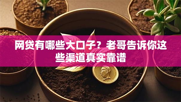 网贷有哪些大口子？老哥告诉你这些渠道真实靠谱