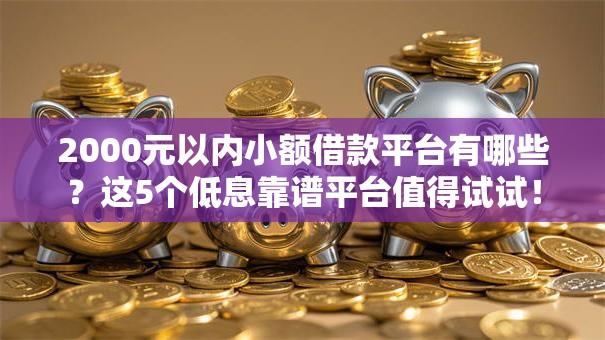 2000元以内小额借款平台有哪些？这5个低息靠谱平台值得试试！