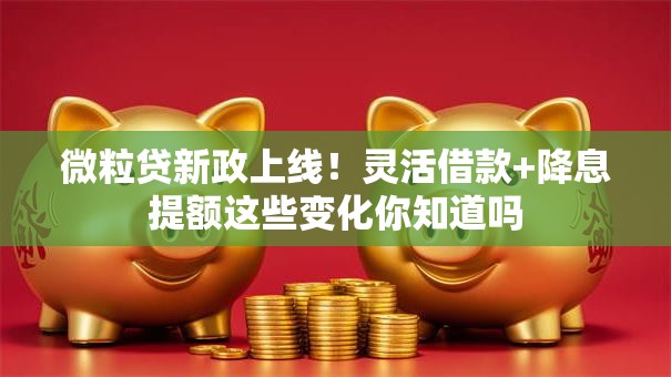 微粒贷新政上线！灵活借款+降息提额这些变化你知道吗