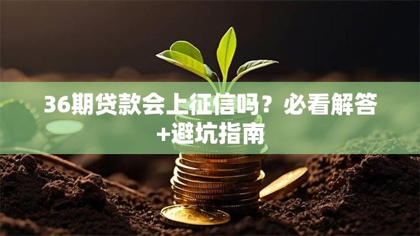 36期贷款会上征信吗？必看解答+避坑指南