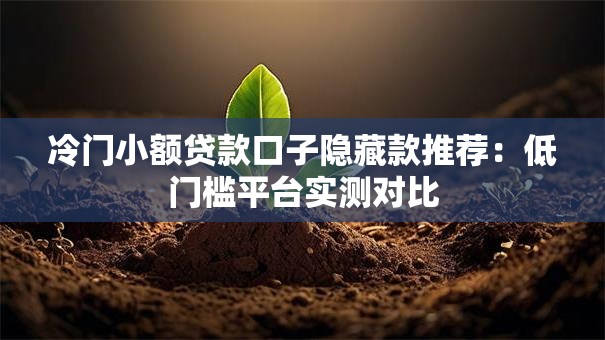 冷门小额贷款口子隐藏款推荐：低门槛平台实测对比