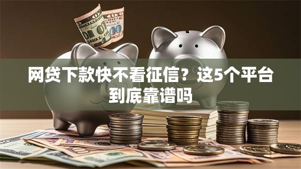 网贷下款快不看征信？这5个平台到底靠谱吗