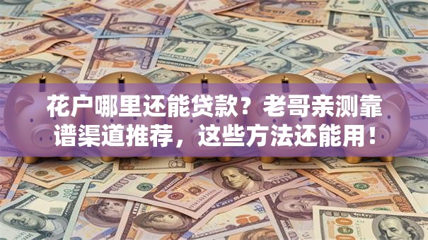 花户哪里还能贷款？老哥亲测靠谱渠道推荐，这些方法还能用！
