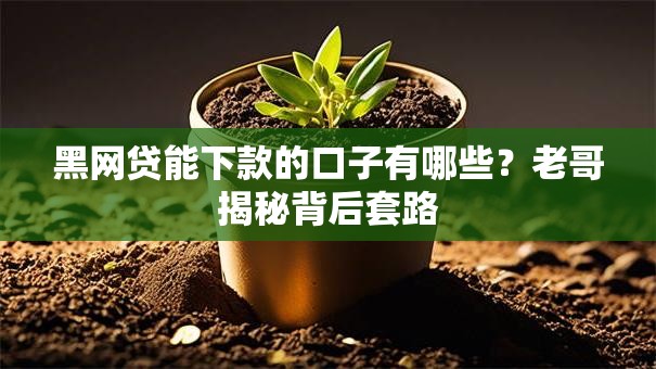 黑网贷能下款的口子有哪些？老哥揭秘背后套路