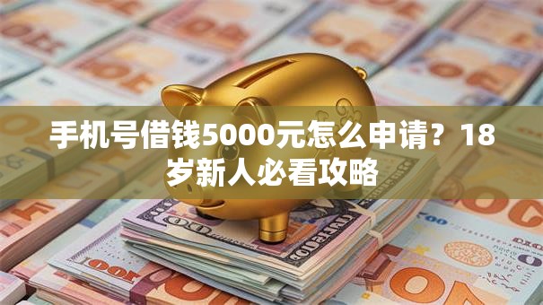 手机号借钱5000元怎么申请？18岁新人必看攻略