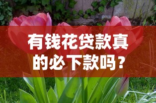 有钱花贷款真的必下款吗？这3个关键点必须知道