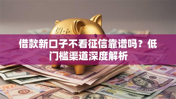 借款新口子不看征信靠谱吗？低门槛渠道深度解析