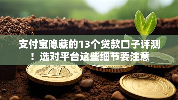 支付宝隐藏的13个贷款口子评测！选对平台这些细节要注意
