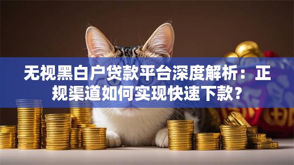 无视黑白户贷款平台深度解析：正规渠道如何实现快速下款？