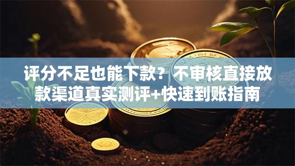 评分不足也能下款？不审核直接放款渠道真实测评+快速到账指南
