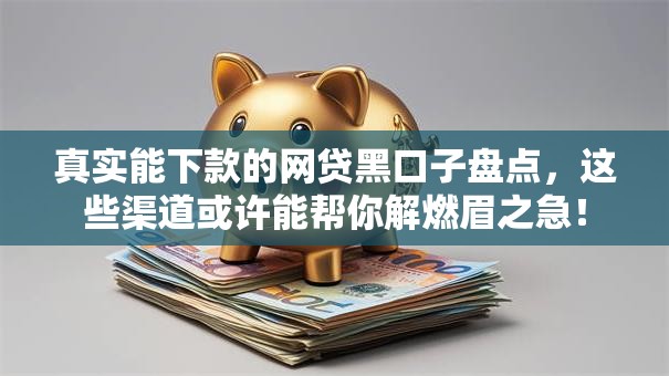 真实能下款的网贷黑口子盘点，这些渠道或许能帮你解燃眉之急！