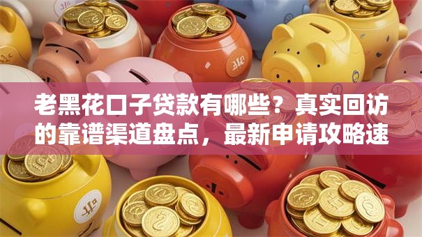 老黑花口子贷款有哪些？真实回访的靠谱渠道盘点，最新申请攻略速看！