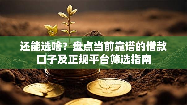 还能选啥？盘点当前靠谱的借款口子及正规平台筛选指南