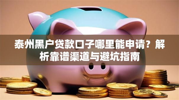 泰州黑户贷款口子哪里能申请？解析靠谱渠道与避坑指南