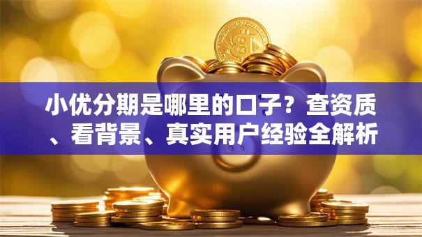小优分期是哪里的口子？查资质、看背景、真实用户经验全解析