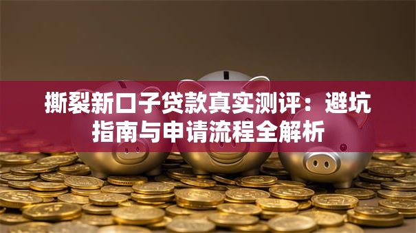 撕裂新口子贷款真实测评：避坑指南与申请流程全解析