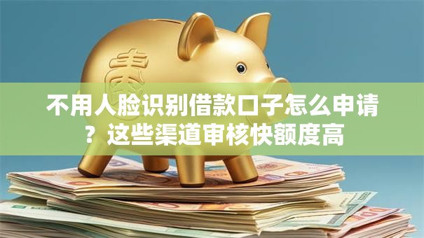 不用人脸识别借款口子怎么申请？这些渠道审核快额度高