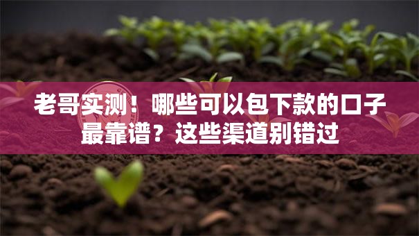老哥实测！哪些可以包下款的口子最靠谱？这些渠道别错过
