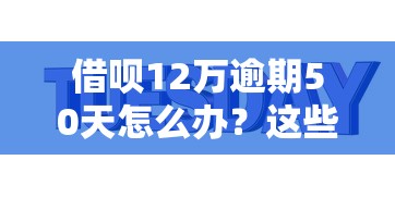 借呗12万逾期50天怎么办？这些应对方案你需要知道