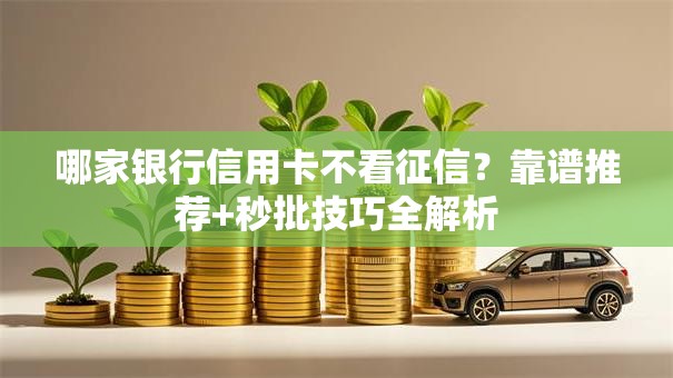 哪家银行信用卡不看征信？靠谱推荐+秒批技巧全解析