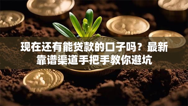 现在还有能贷款的口子吗？最新靠谱渠道手把手教你避坑
