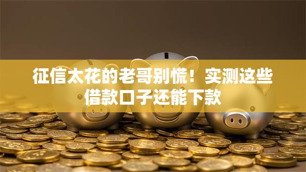 征信太花的老哥别慌！实测这些借款口子还能下款