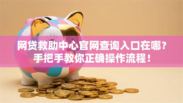 网贷救助中心官网查询入口在哪？手把手教你正确操作流程！