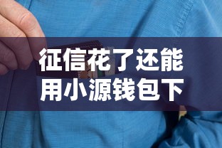 征信花了还能用小源钱包下款吗？真实经验+避坑指南