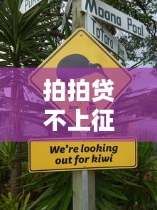 拍拍贷不上征信怎么办？手把手教你正确处理方式