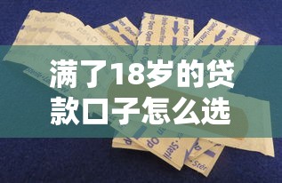 满了18岁的贷款口子怎么选？这5个正规平台申请攻略别错过