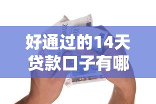 好通过的14天贷款口子有哪些？这5个平台审核快、门槛低！