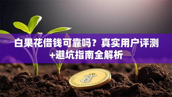 白果花借钱可靠吗？真实用户评测+避坑指南全解析