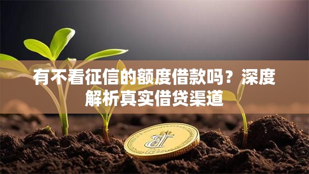 有不看征信的额度借款吗？深度解析真实借贷渠道
